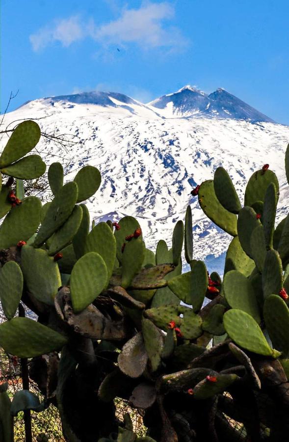 La Pigna Dell'Etna Lägenhet Nicolosi Exteriör bild